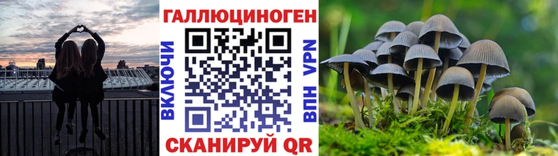 hydra онион  купить   Йошкар-Ола  Галлюциногенные грибы Magic Shrooms 