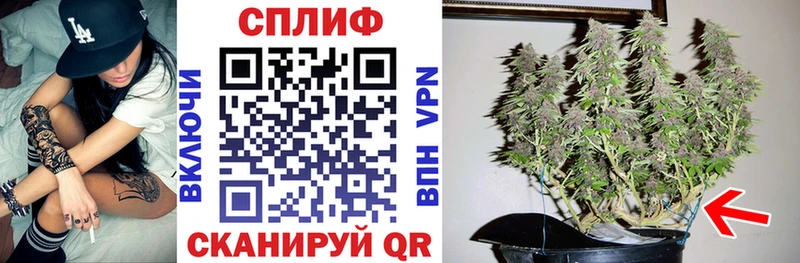 блэк спрут ссылка  Йошкар-Ола  Марихуана ГИДРОПОН 